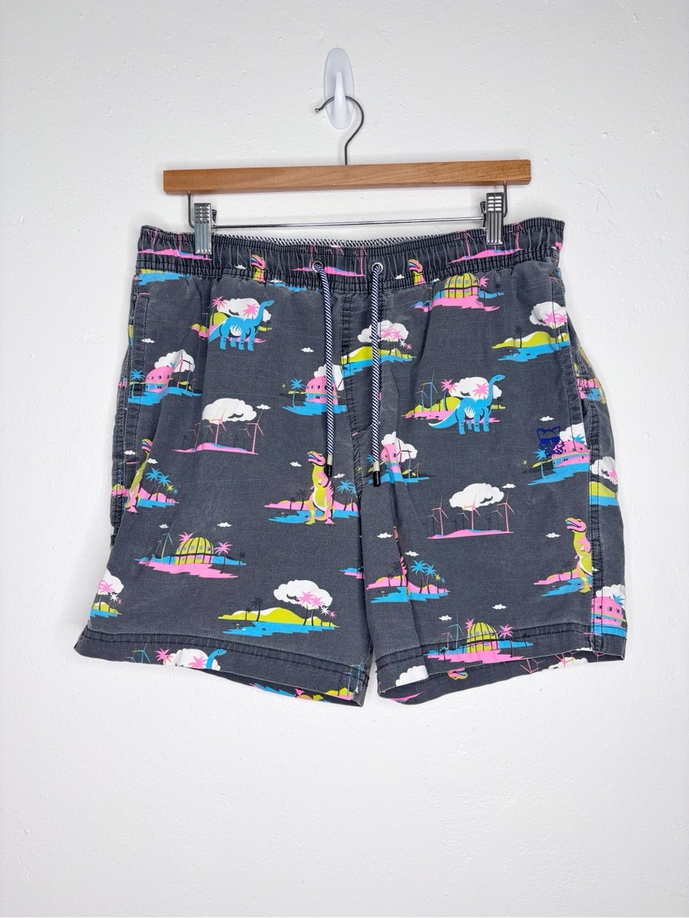 Party Pants Printed Swim Trunks Dinosaur Palm Springs Gray Vintage Wash Size L